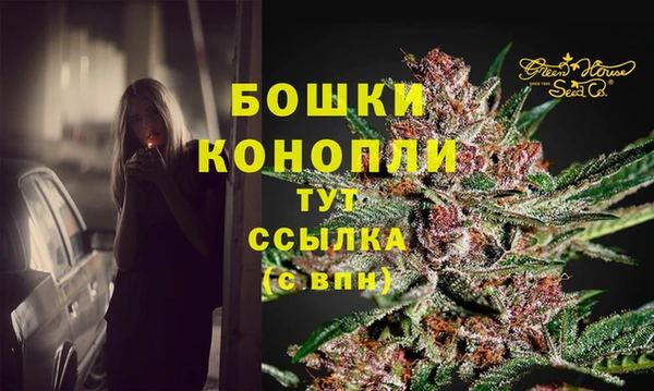 тгк Бородино