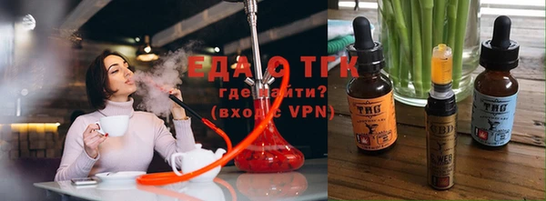 тгк Бородино
