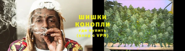 тгк Бородино