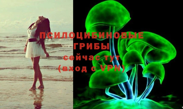 mdpv Бронницы