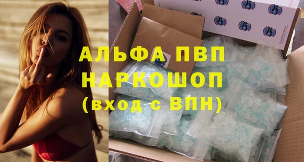 тгк Бородино